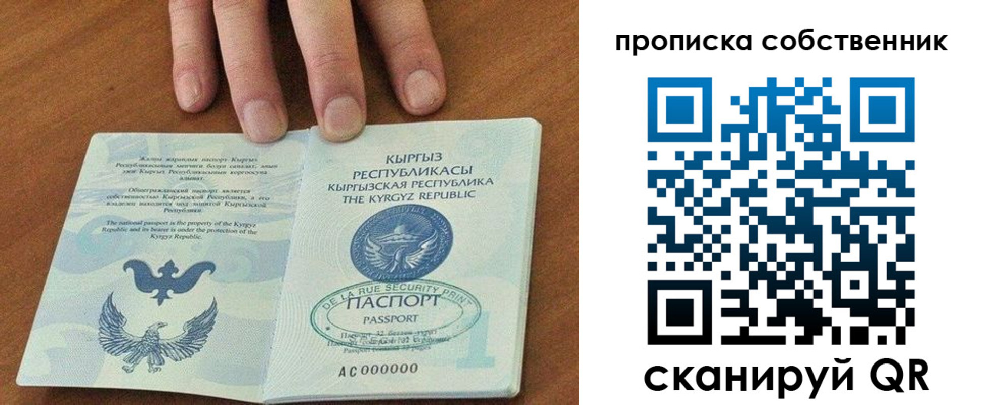временная регистрация надежно в Мурманске